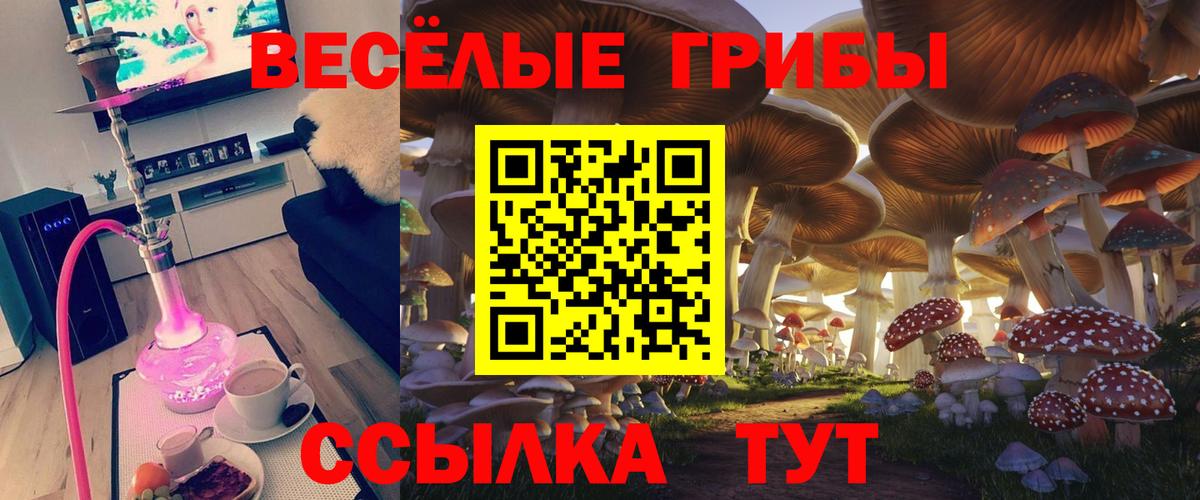 Галлюциногенные грибы мицелий  Галлюциногенные грибы мухоморы  наркота  Нижневартовск  Вход с VPN 